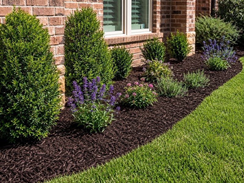 Freshly mulched flower bed