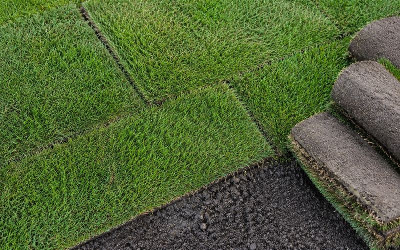 New sod squares being installed